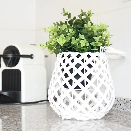 דירה Ericeira Apartments אריסרייה